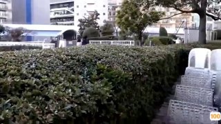 刚刚更新成人视频.草莓污人成视频无限看在线a 日本一区二区在线看_国产在线精品观看一区欧美国产精品不卡在线观看_国产亚洲一区二区手机在线观看